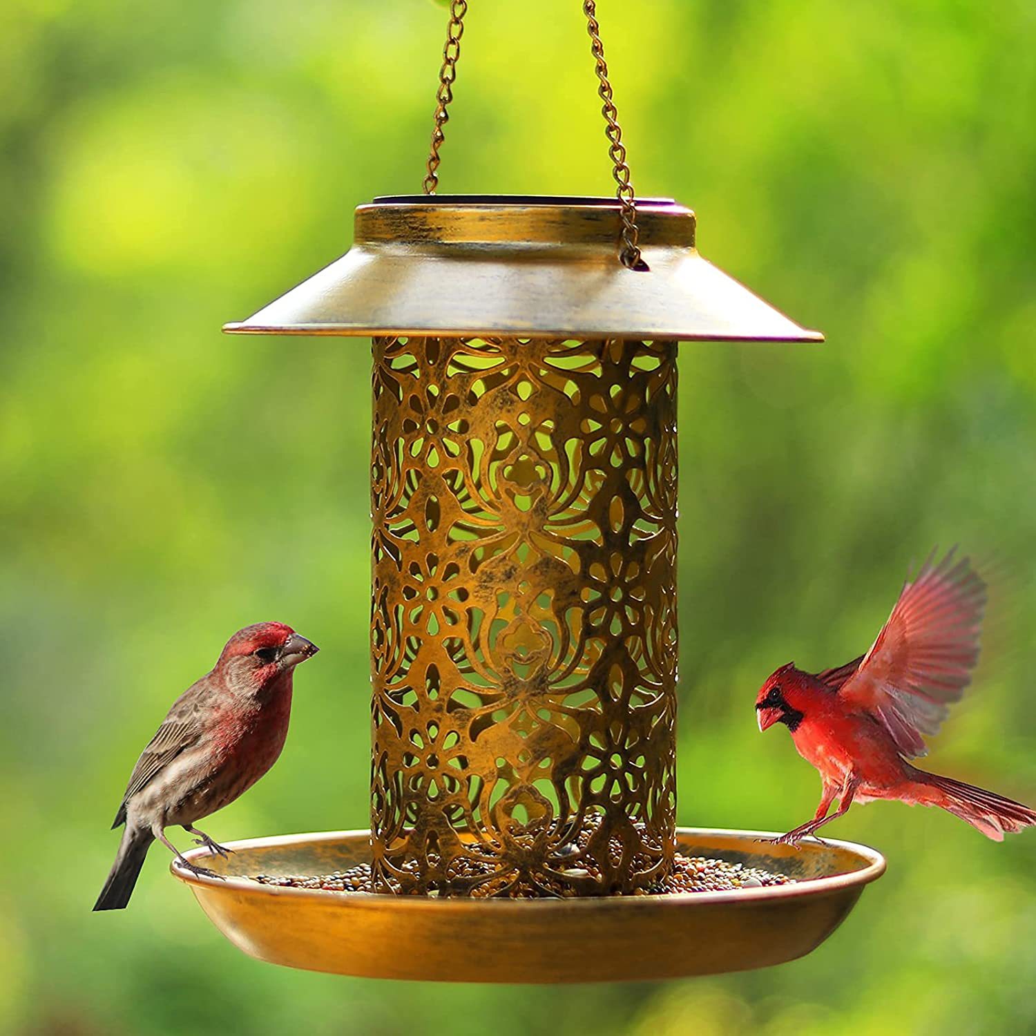 Outdoor Lighting Ideas For House - Hanging Bird House Metal Outdoors Solar