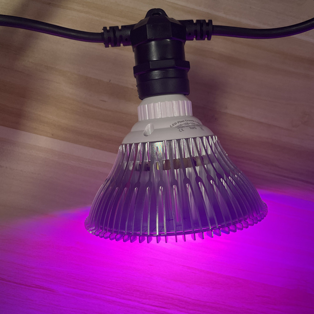 10M Cable LED String Commercia - đánh giá và giá Outdoor Lighting Manufacturers